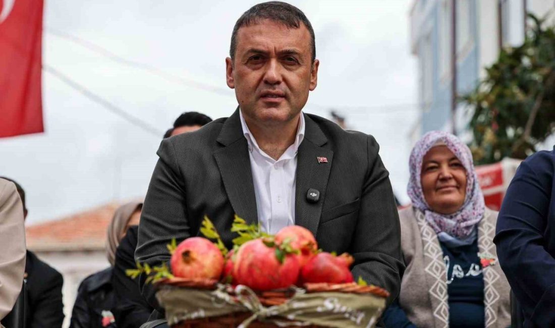 Bilecik’in İnhisar ilçesi 4 bin 514 tonluk nar üretimiyle birinci