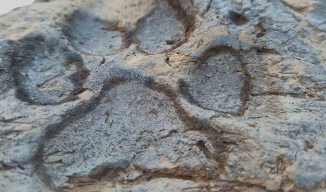 Bilecik Şeyh Edebali Üniversitesi (BŞEÜ) akademisyenlerinin Kütahya’daki Tavşanlı Höyük’te yürüttüğü