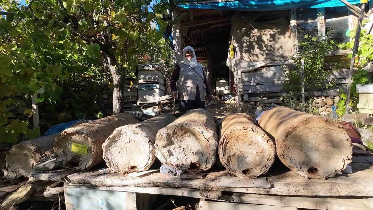 Yozgat’ın Çayıralan ilçesinde yaşayan 85 yaşındaki Hatice Orhan, ailesinden miras