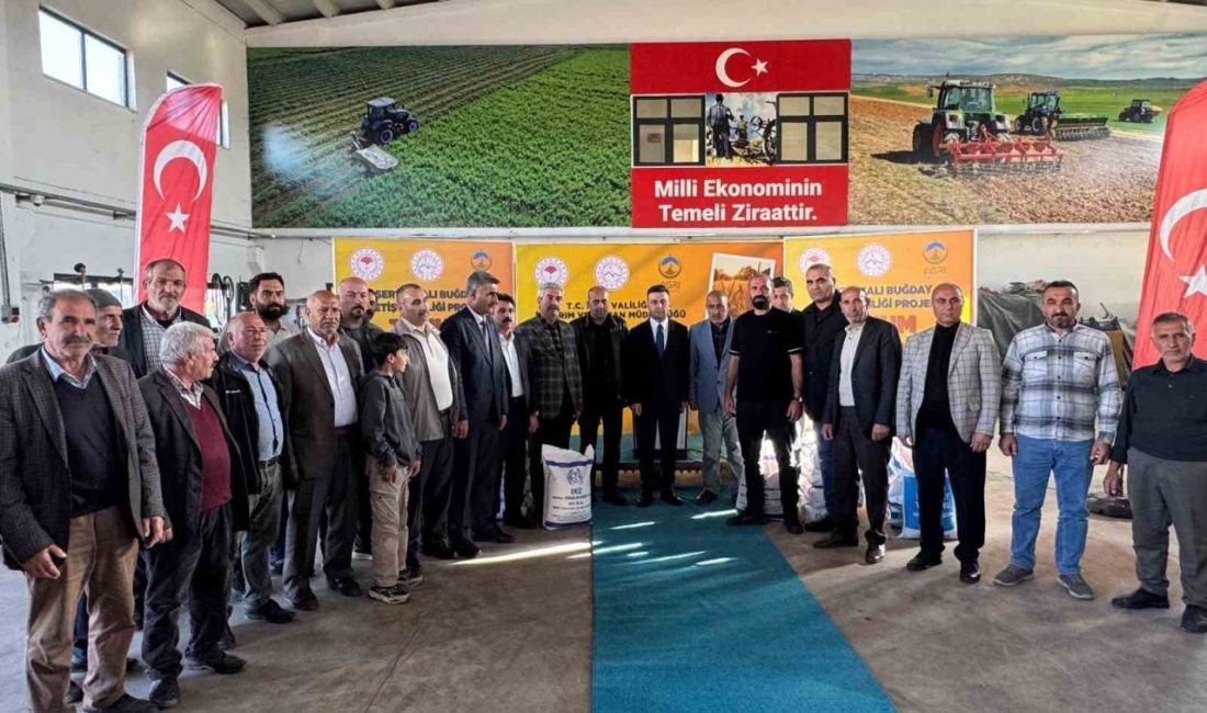 Ağrı’da Sertifikalı Buğday Yetiştiriciliğinin Yaygınlaştırılması Projesi kapsamında 1 bin 100