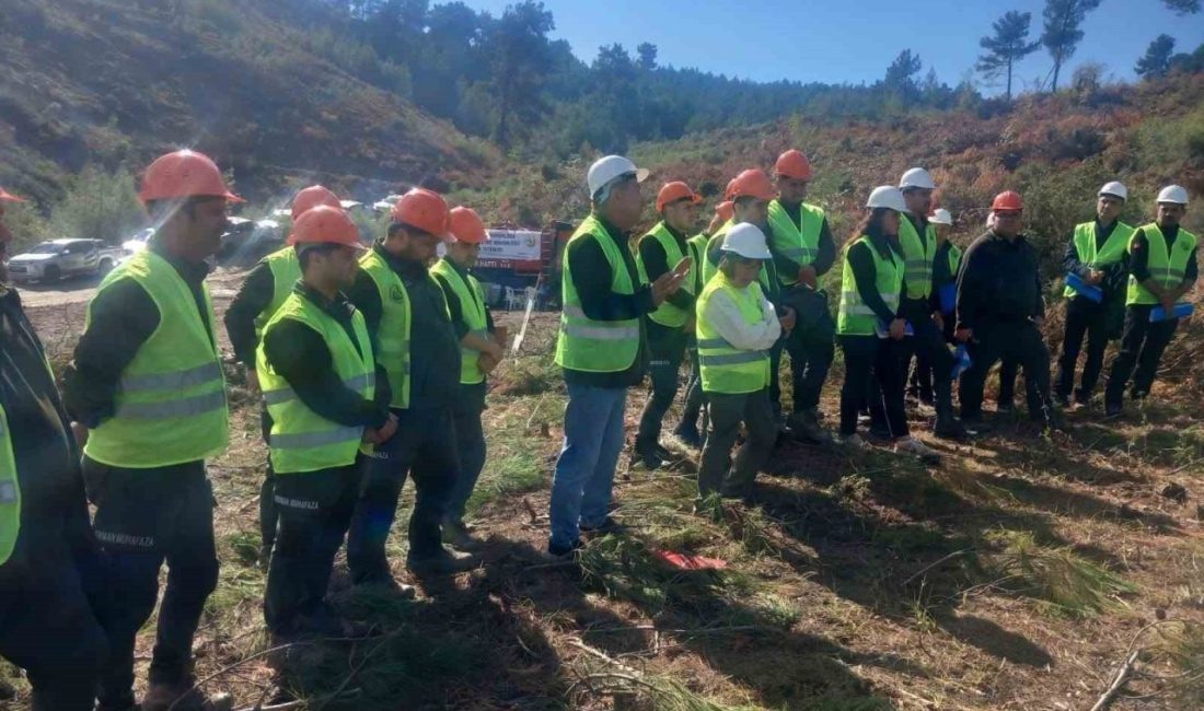 Manisa’nın Akhisar ilçesinde, ormanların sürdürülebilir yönetimi ve ağaçlandırma çalışmalarının tekniğine