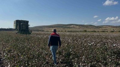 İzmir’in Aliağa ilçesinde pamuk hasadı başlarken, Kaymakam Zekeriya Güney Helvacı