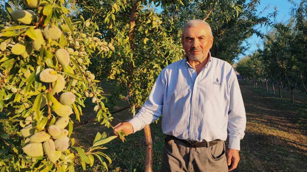 YOZGAT (İHA) – Yozgatlı 71 yaşındaki Hasan Sidal, Almanya’da ‘doktorun