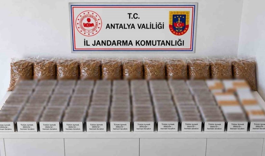 Antalya’nın Döşemealtı ve Alanya ilçelerinde kaçak tütün ve tütün mamullerine