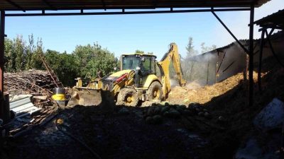 Antalya’nın Manavgat ilçesi ahır ve samanlıkta çıkan yangında 1 büyükbaş,