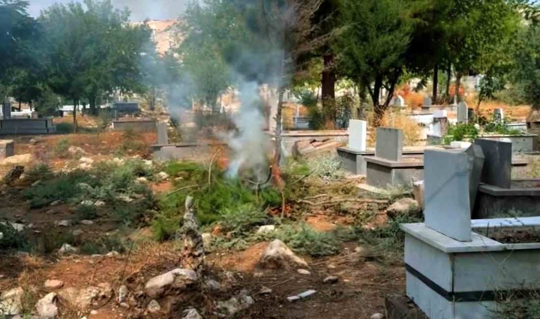 Araban Belediyesi tarafından temizliği ve bakımı ihmal edilen mahalle mezarlığını