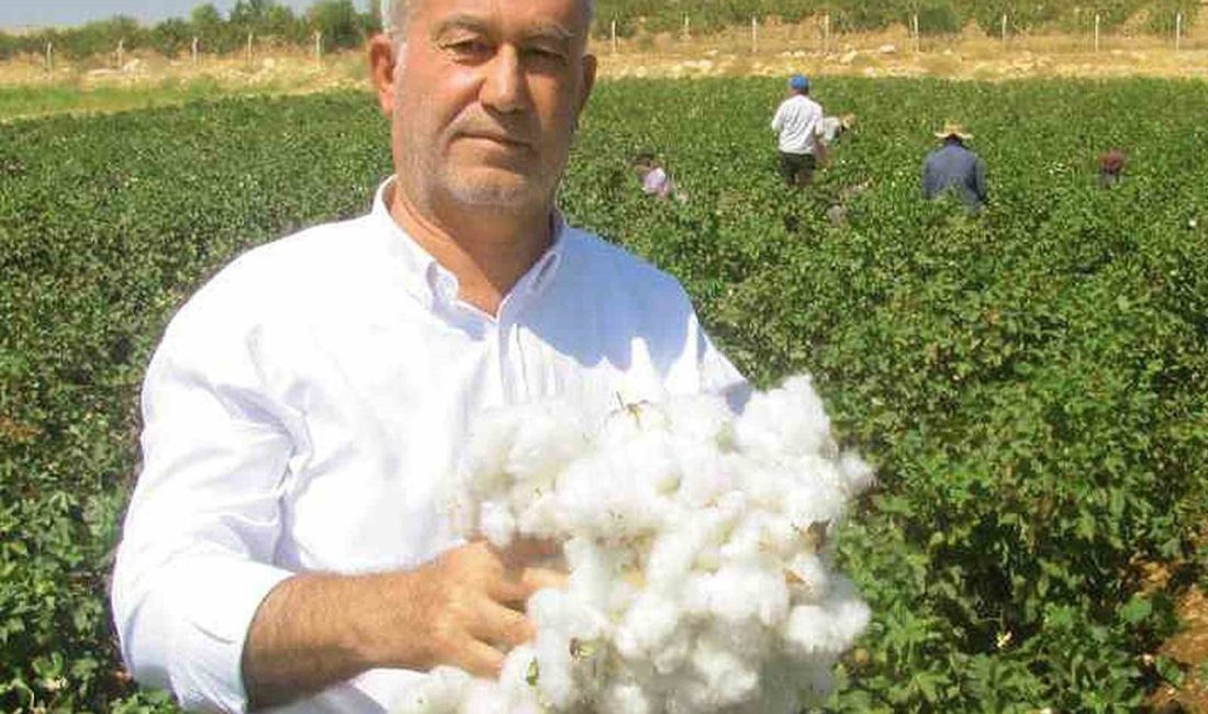 Gaziantep’in Araban ilçesinde Ziraat Odası, Sarımsak Üretici Birliği ve ÇUKOBİRLİK