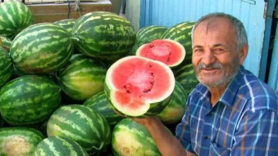 Gaziantep’in Araban ilçesinde 5 bin dönüm alanda ikinci ürün olarak