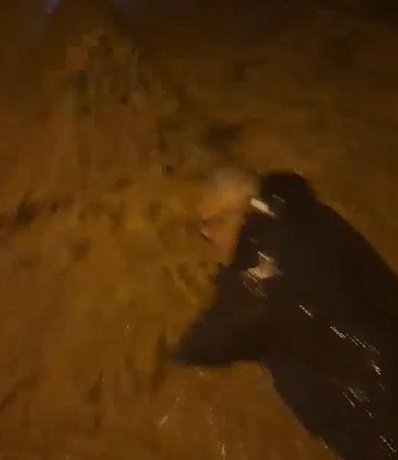 Yalova’nın Armutlu ilçesinde etkili olan sağanak yağışın ardından sokak ve