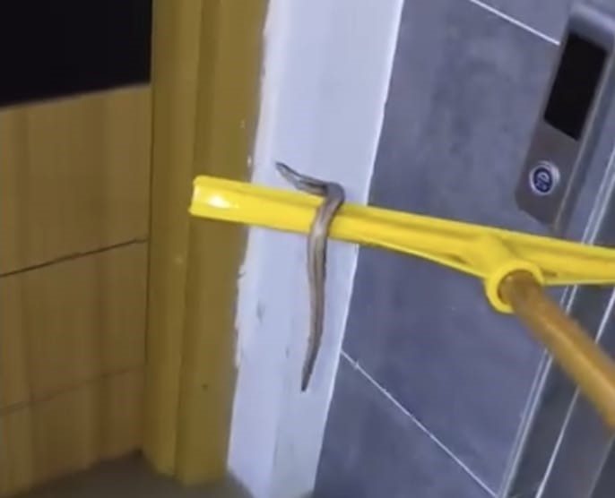 İstanbul Arnavutköy’de etkili olan sağanak yağışta bir apartmanın bodrum katını