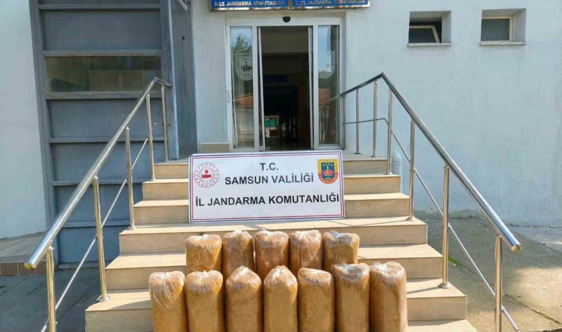 Samsun’un Atakum ilçesinde bir araçta yapılan aramada 60 kilo kıyılmış