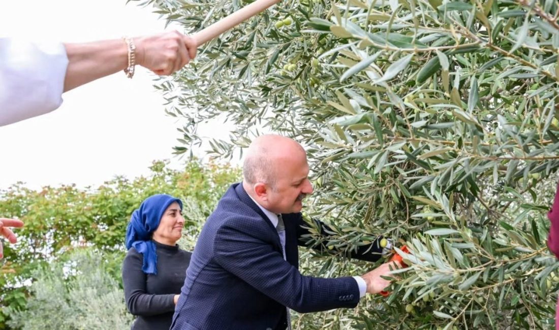 Aydın Valisi Dr. Osman Varol, Dünya Kadın Çiftçiler Günü’nde kadın