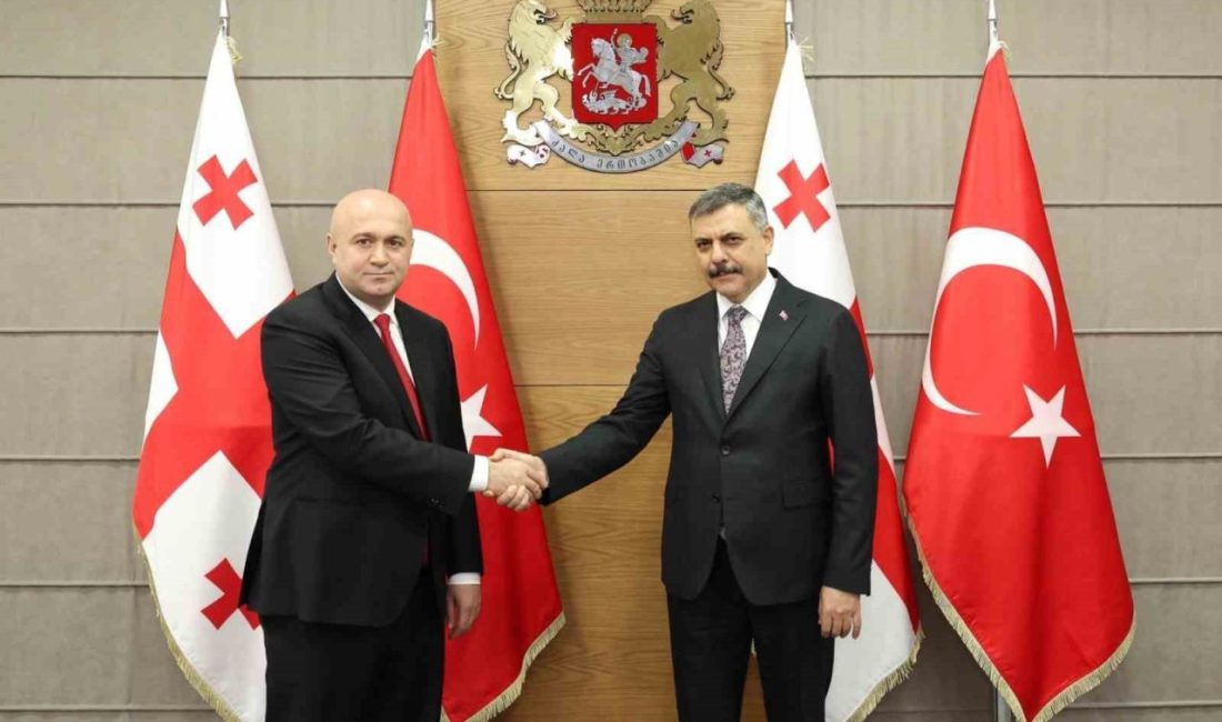 İçişleri Bakanı Mustafa Çiftçi, Gürcistan İçişleri Bakanı Sulkhan Tamazashvili ile