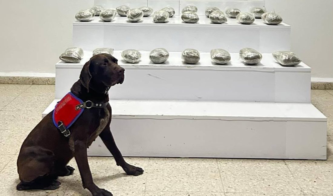 Van’ın Başkale ilçesinde jandarma ekiplerince yürütülen çalışmalar sonucunda 10 kilo