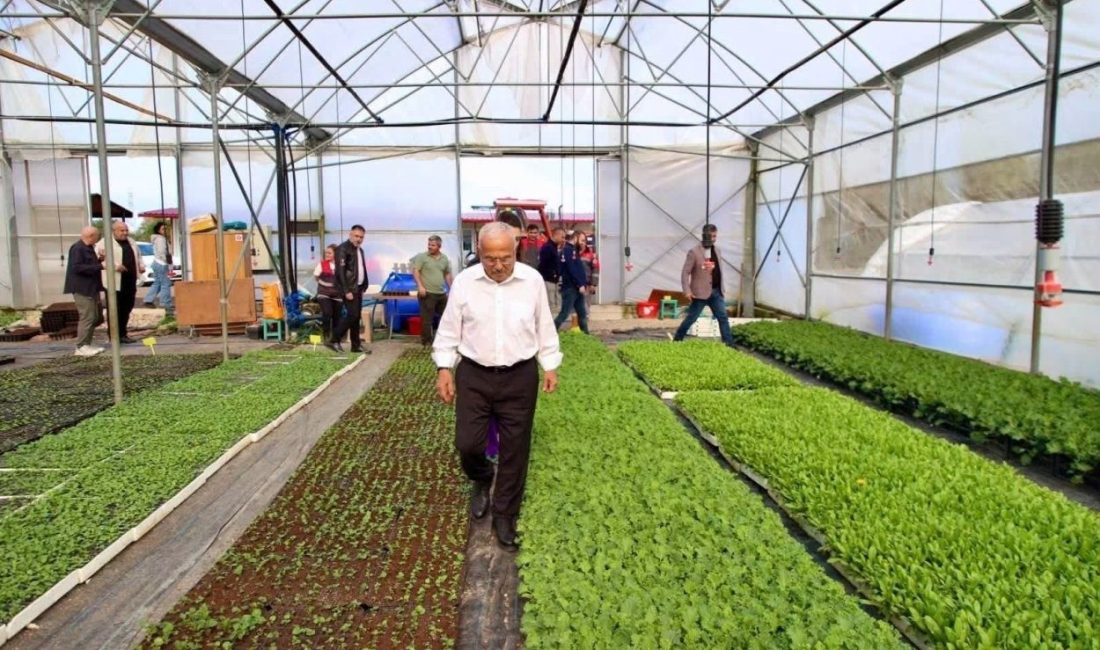 Ordu Büyükşehir Belediye Başkanı Dr. Mehmet Hilmi Güler, kendi bünyelerinde