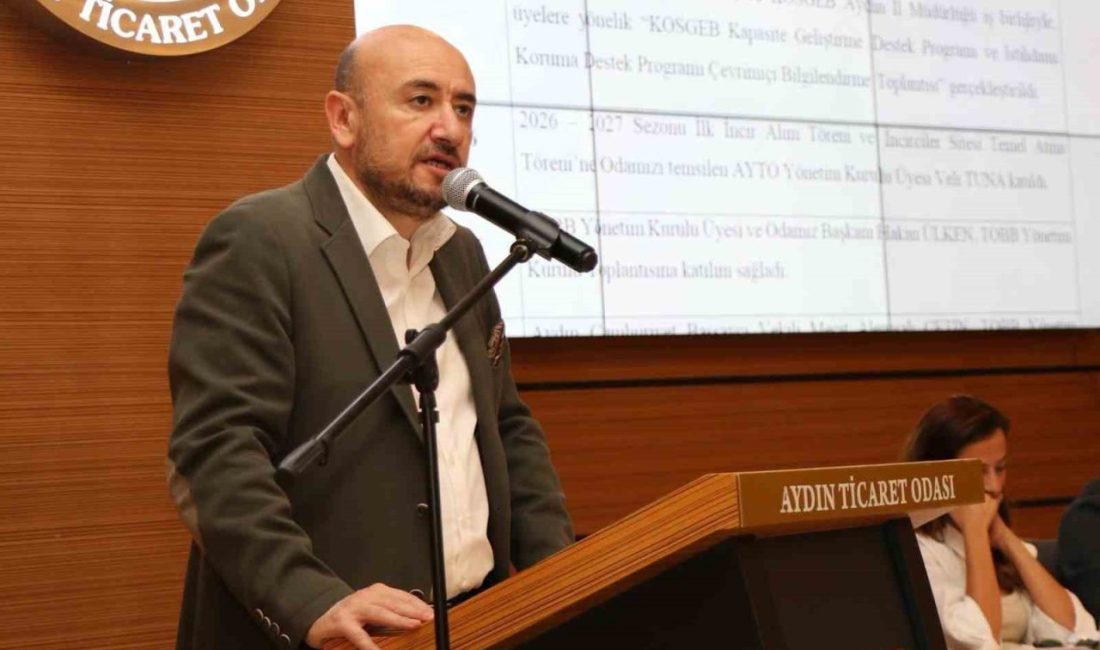 TOBB Yönetim Kurulu Üyesi ve Aydın Ticaret Odası Başkanı Hakan