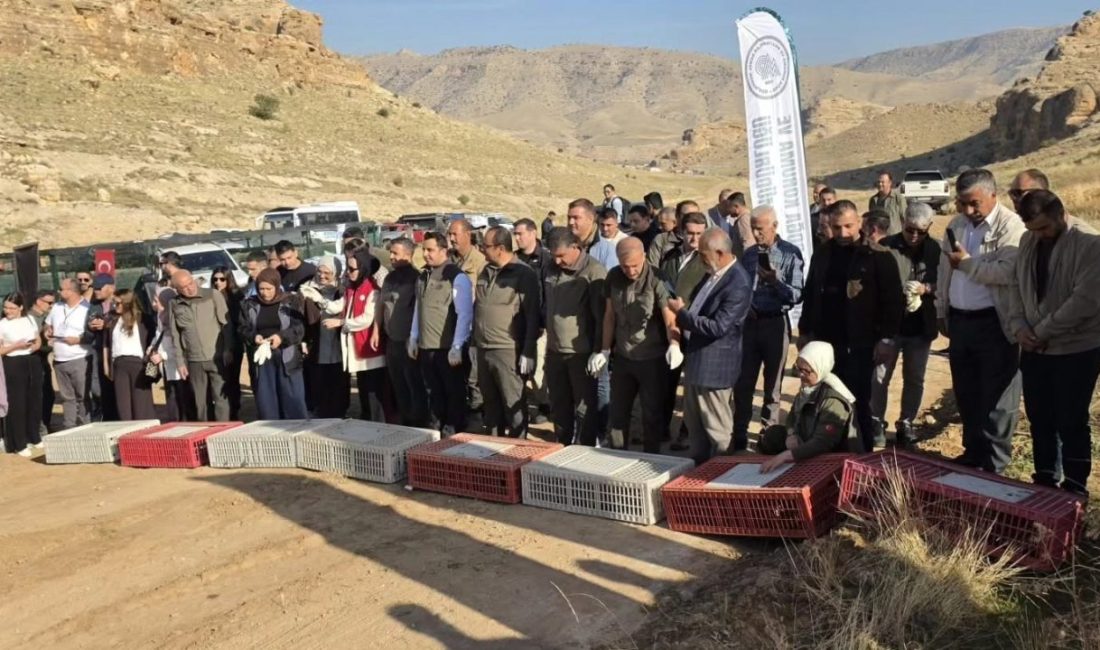 Batman’da yaban hayatının desteklenmesi, biyolojik çeşitliliğin korunması ve doğal dengenin