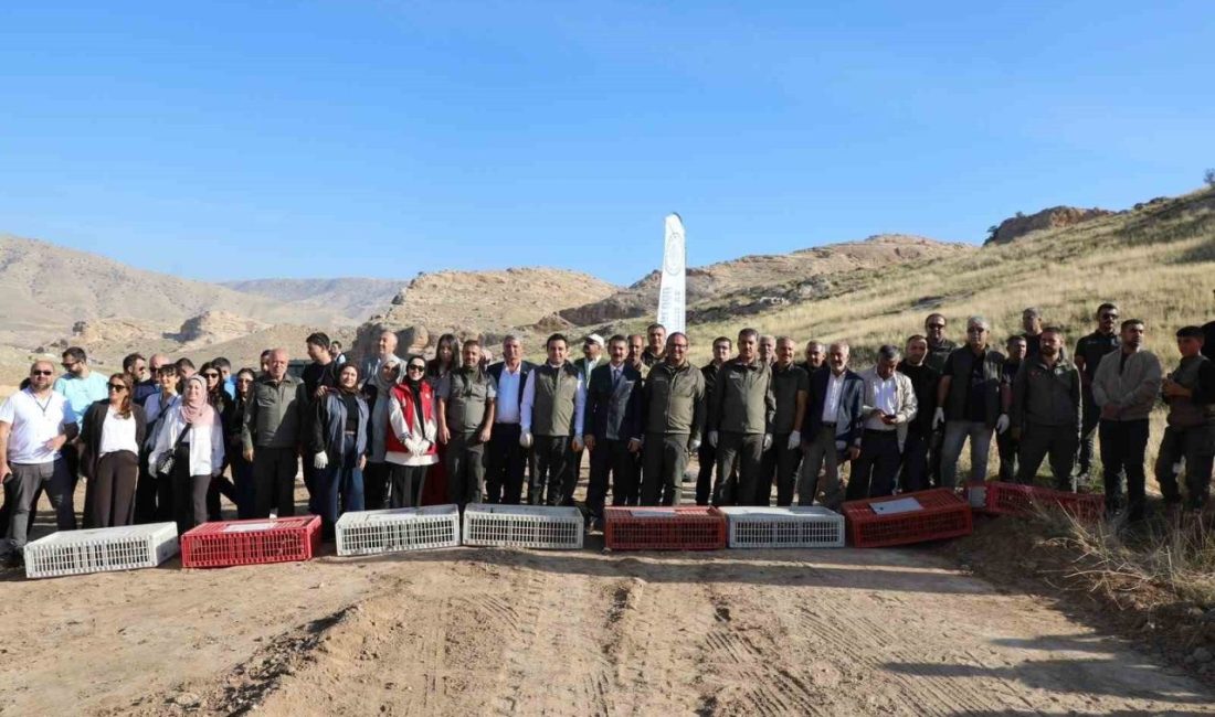 Batman’ın Hasankeyf ilçesinde, ekosistem dengesini korumak ve biyolojik çeşitliliği artırmak