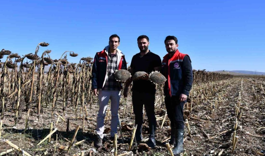 Bayburt İl Tarım ve Orman Müdürlüğü teknik personeli, il genelindeki