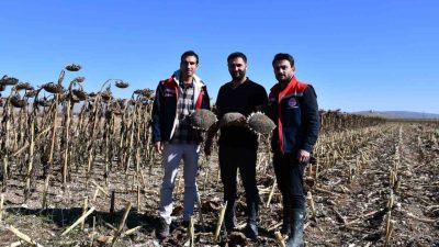 Bayburt İl Tarım ve Orman Müdürlüğü teknik personeli, il genelindeki