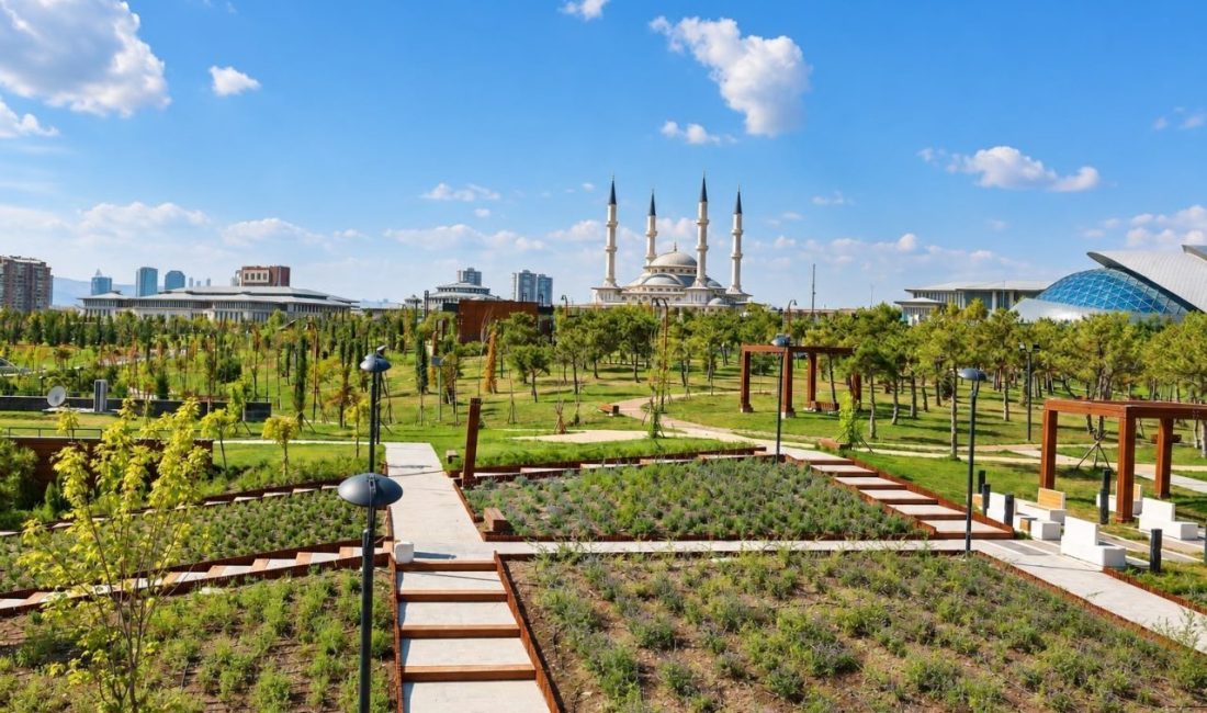 Başkent’te 645 bin metrekarelik alana yayılan Beştepe Millet Ormanı, yüzlerce