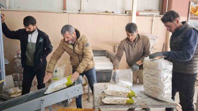 Bitlis, Türkiye’nin tohumluk kuru fasulye üretiminin yüzde 75’ini karşılayarak bu