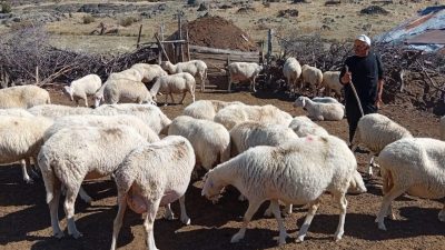Bolu’nun Seben ilçesinde, 2026 yılı ORKÖY yatırım programı kapsamında orman