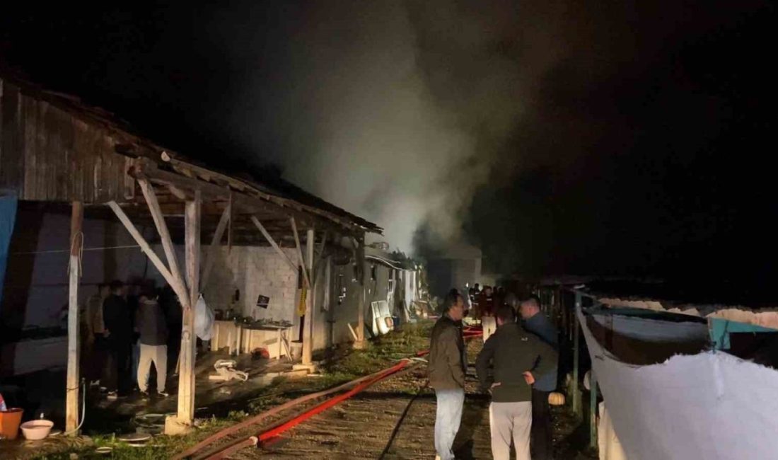 Bursa’nın İnegöl ilçesinde çıkan yangında büyükbaş hayvan çiftliği kullanılamaz hale