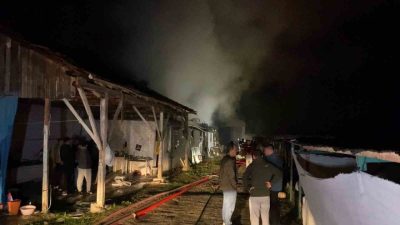 Bursa’nın İnegöl ilçesinde çıkan yangında büyükbaş hayvan çiftliği kullanılamaz hale