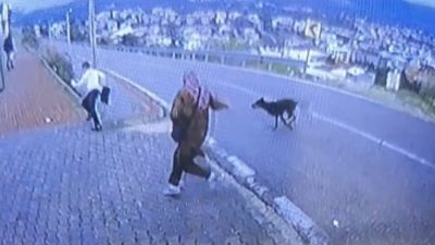 Bursa’nın Orhangazi ilçesinde durakta minibüs bekleyen 2 kadın ve 11