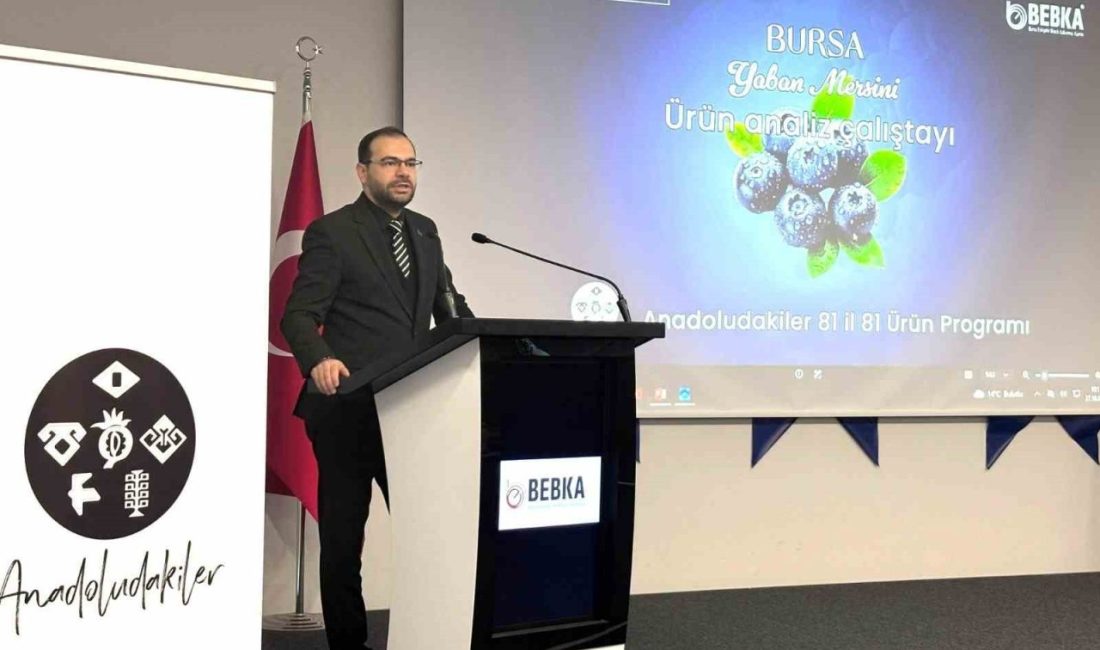 Bursa Eskişehir Bilecik Kalkınma Ajansı (BEBKA) tarafından, “Anadoludakiler: 81 İl