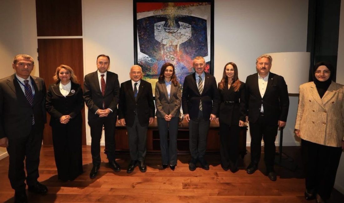 Kocaeli Büyükşehir Belediye Başkanı Tahir Büyükakın, Avrupa Konseyi Yerel ve