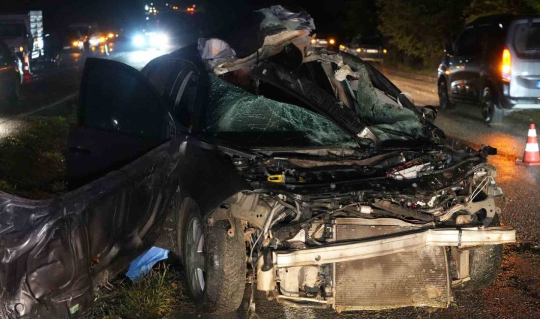 Kastamonu’nun Taşköprü ilçesinde büyükbaş hayvana çarpan otomobilin sürücüsü hayatını kaybetti,