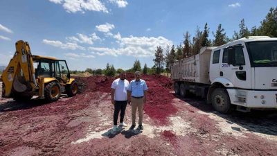 Çal Belediyesi, iştiraki Yeşil Çal A.Ş. aracılığıyla hayvancılıkla uğraşan üreticilere