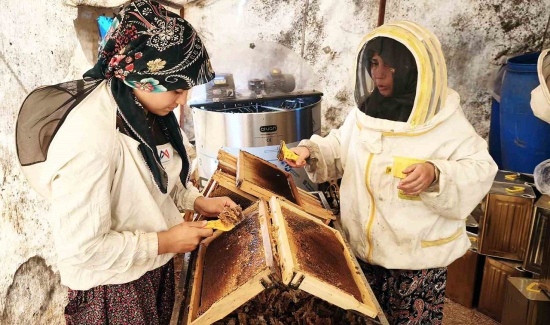 Dünya çam balının yüzde 92’sinin, Türkiye çam balı üretiminin ise