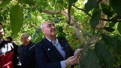 Denizli’nin Çameli ilçesinde, Denizli Valisi Yavuz Selim Köşger ve il