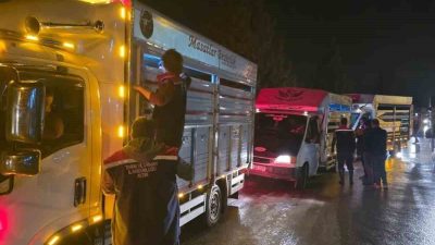 Aydın’ın Çine ilçesinde hayvan pazarı, veteriner hekimlerin sağlık, küpe ve