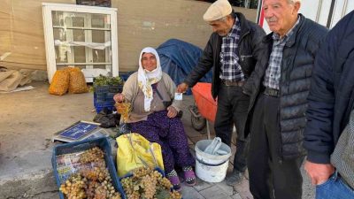 Denizli’nin Çivril ilçesinde Koçak Dağı eteklerinde yetişen, kendine özgü aroması