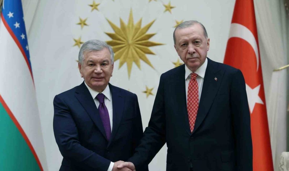 Cumhurbaşkanı Recep Tayyip Erdoğan, Özbekistan Cumhurbaşkanı Şevket Mirziyoyev ile Cumhurbaşkanlığı