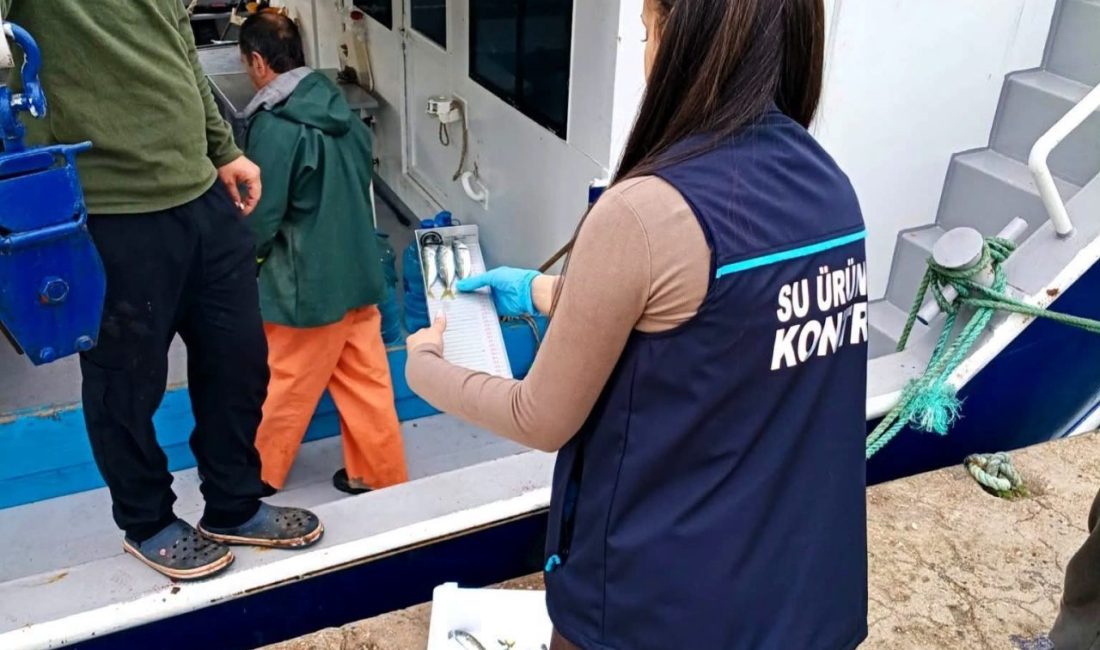 Kırklareli’nin Demirköy ilçesinde, teknik personel tarafından su ürünleri denetimleri gerçekleştirildi.