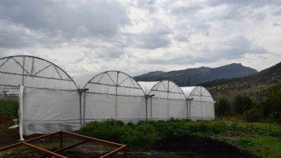 Şırnak’ın Uludere ilçesine bağlı Şenoba beldesinde ailelerin devletten aldıkları yüzde