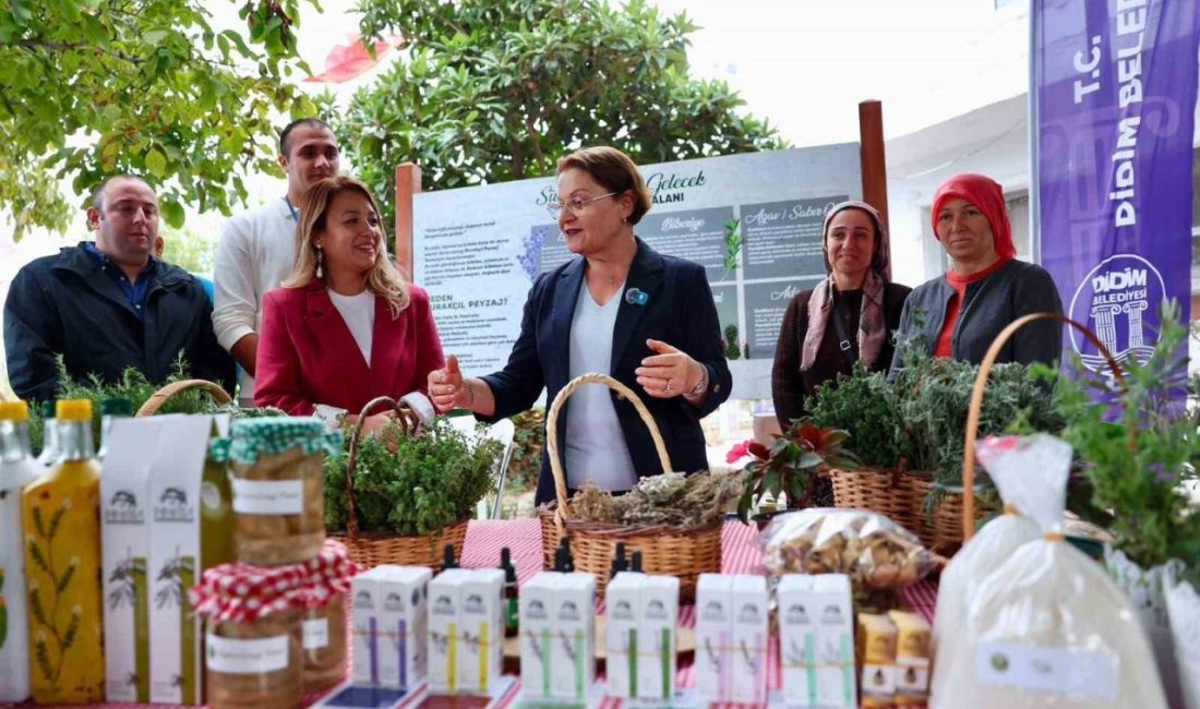 Didim Belediyesi tarafından Akyeniköy’de düzenlenen Didim Tarım Şenliği, ikinci gününde