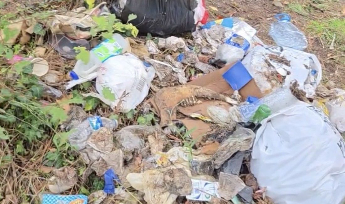 Bolu’nun Mengen ilçesi Yumrutaş mevkisinde yol kenarına atılan alkol şişeleri,