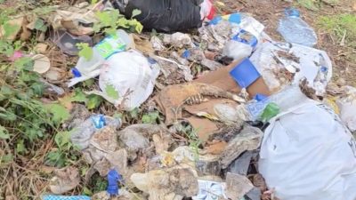 Bolu’nun Mengen ilçesi Yumrutaş mevkisinde yol kenarına atılan alkol şişeleri,