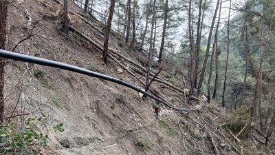 Hatay’ın Dörtyol ilçesinde, orman kesimi sırasında ve sel felaketi sonrasında
