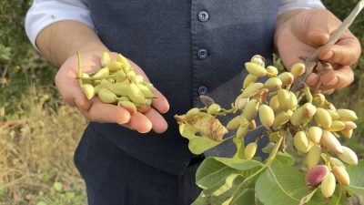 Hakkari’nin Yüksekova ilçesinin eşsiz doğası, şelaleleri ve saklı güzellikleriyle bilinen