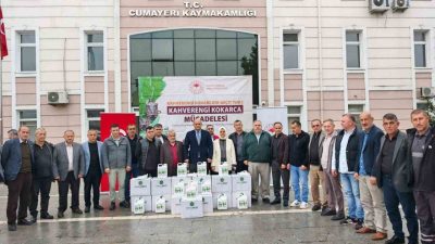 DÜZCE (İHA) – Düzce’nin Cumayeri ilçesinde kahverengi kokarca zararlısıyla mücadele