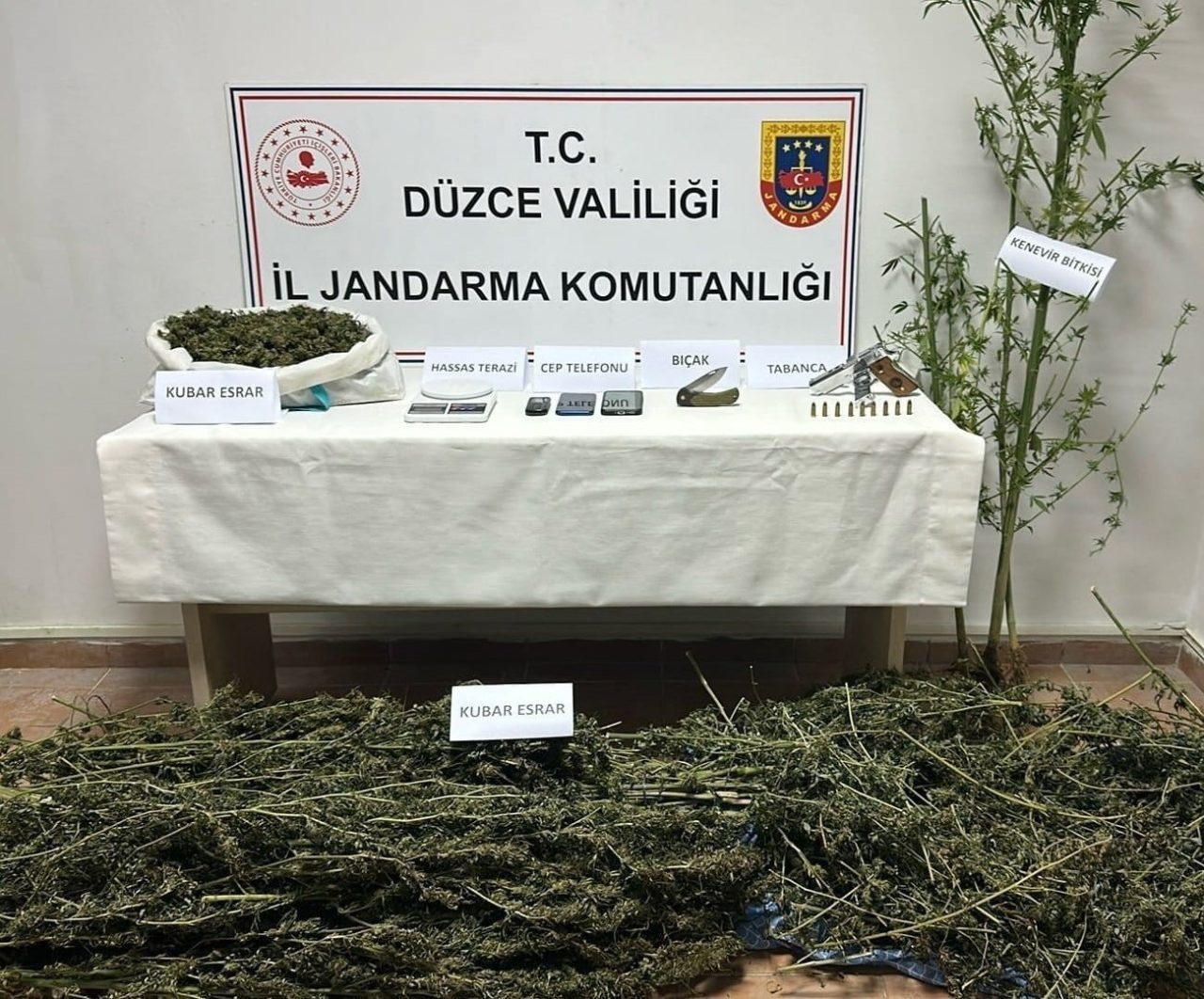 DÜZCE(İHA) – Düzce’de uyuşturucu operasyonunda kubar esrar, kenevir bitkisi ve
