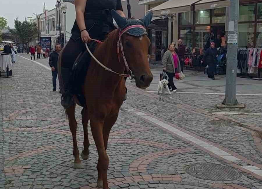 Edirne’de atıyla işlek cadede gezen kadın, renkli görüntüler oluşturdu. Edirne’de