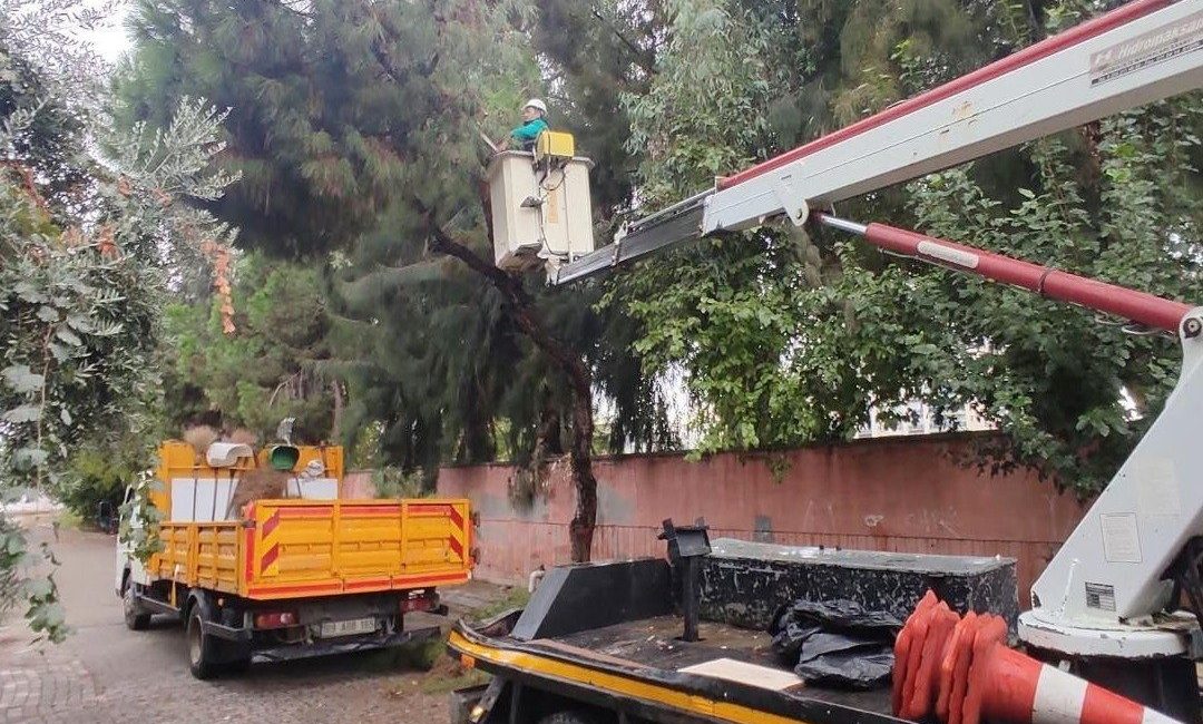 Efeler Belediyesi Park ve Bahçeler Müdürlüğü ekipleri, ilçe genelindeki park